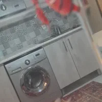 ماهی تایگر بارب جفت مولد