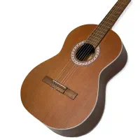 گیتار پارسی