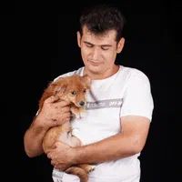 مربی سگ، تربیت سگ،آموزش سگ