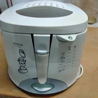 سرخ کن با روغن