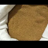 بذر یونجه