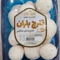 قارچ تازه شرکت باران