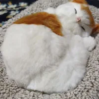 عروسک گربه ملوس