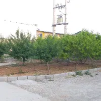اجاره سوله های بهداشتی مناسب تولید ، انبار صنعت|اجارهٔ دفتر صنعتی، کشاورزی، تجاری|کرمانشاه, |دیوار