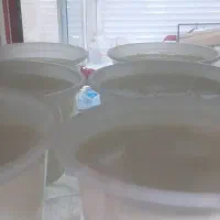 ماست میش موجود است
