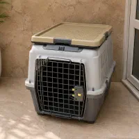 باکس سگ