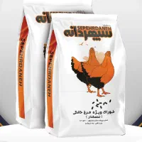 پیش فروش پلت مرغ تخمگذار زیر قیمت / پلیت