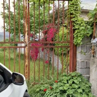 بوتاکس هر سه نفر ۹۰۰ تومان تخفیف