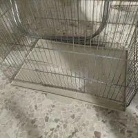 قفس پرنده