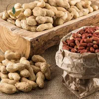 جذب شریک در کار