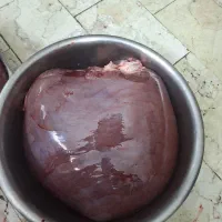 جیگر گاوی