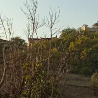 ویلایی 300متر، زان دماوند زیر قیمت منطقه