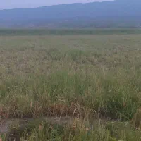 زمین کشاورزی مسکونی