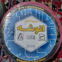 یک جفت سیم انوشه