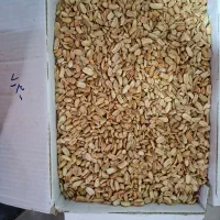 بادام زمینی کره گیری کارتنی تمیز علک شده ۲۸۰