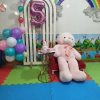 مربی برای خانه بازی