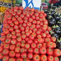 کارگر جهت کار در میوه فروشی