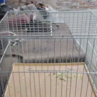 قفس کوچک پرنده برا مسافرت