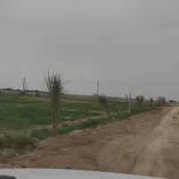 فروش زمین باغی هندیجان شمالی