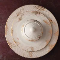 سرویس ۲۸ پارچه چینی زرین طرح رادیانس