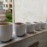گلدان سرامیکی سفید فروش فروی