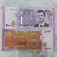 لیر سوریه کلکسیونی