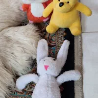 عروسک