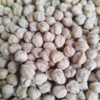 سلام نخودمخصوص بذر درشت تک خان کرمانشاه اصلاح شده