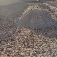 معاوضه