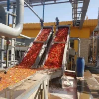 فروش-کارخانه-رب-و-کنسروجات-فعال