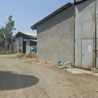 مزایده دامداری برادران رنجبرها