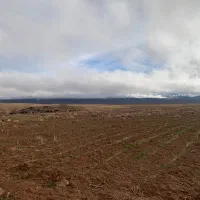 ۱۰ هکتارزمین کشاورزی