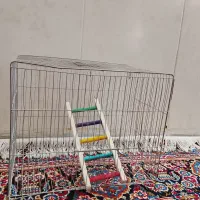 قفس