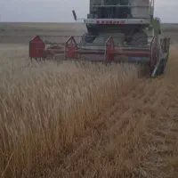 کمباین سهند کاهکوب