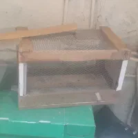 تله دست ساز گربه و روباه