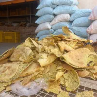 فروش نان خشک ضایعاتی (دامی)