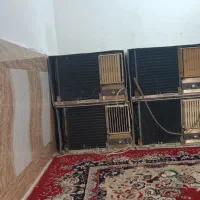 خیابان مولوی بعد از حسینیه زهرا