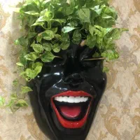 گلدان طرح رخ دیواری با پتوس