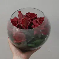 گل تراریومی