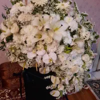دسته گل به فروش میرسد