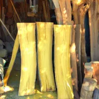 اسلب گردو