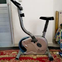 دوچرخه ثابت