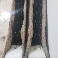 فنر تخت خواب