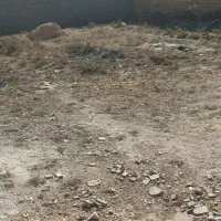 فروش زمین مسکونی دوبان