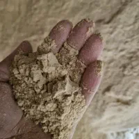 سبوس برنج نرم با کیفیت مخصوص حیوانات مرغ  اردک ...