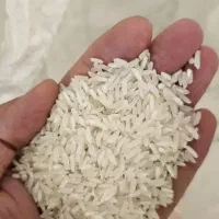 برنج پاکستانی ۱۴۵۰۰۰