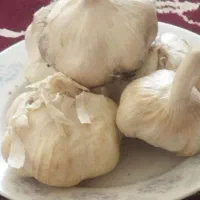 باسلام سیر درشت وتمیز و قیمت ۲۰۰تومان