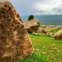 تمام کارهای باغبانی ازنیشابورتازبرخان