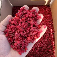 زرشک اناری درجه یک