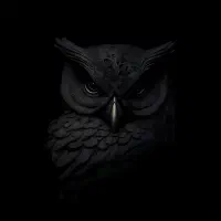 خدمات نرم افزاری در محل